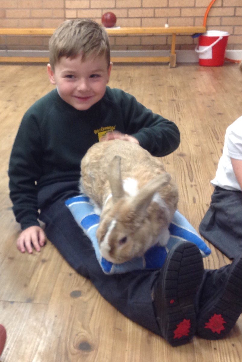 Brackenwood_Inf's tweet photo. F2R had a wonderful time at their "Paws, Claws and Whiskers" workshop this morning. Thank you so much #AnimalsTakeOver https://t.co/2YUQZDlZTn