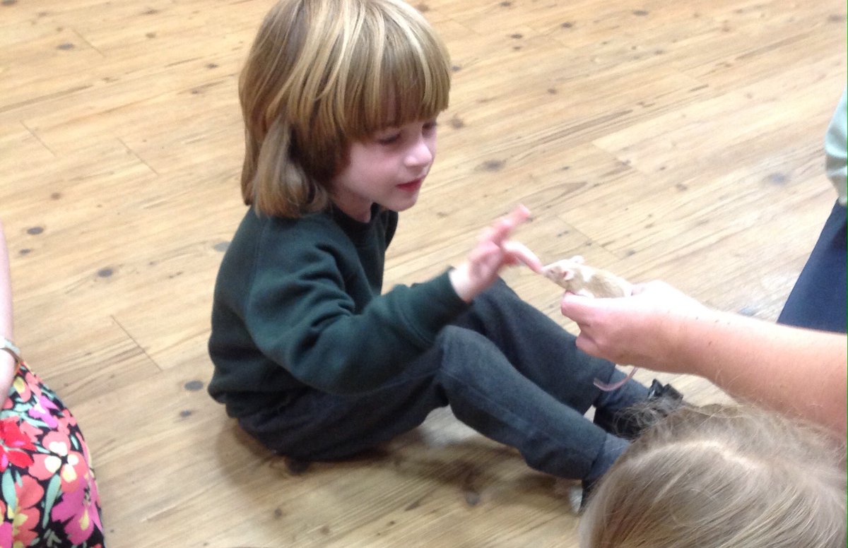Brackenwood_Inf's tweet photo. F2R had a wonderful time at their "Paws, Claws and Whiskers" workshop this morning. Thank you so much #AnimalsTakeOver https://t.co/2YUQZDlZTn