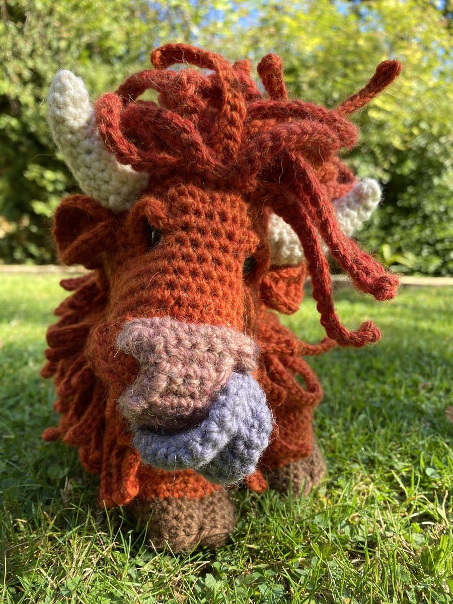 Bovidiva's tweet photo. An amazing friend crocheted me a Highland #cow for #WoolWeek!
So - tell me - what shall I name this magnificent beast?
@Campaignforwool @BritishWool #BritishWool #WearWool #MadeWithWool https://t.co/a7HylFiADH