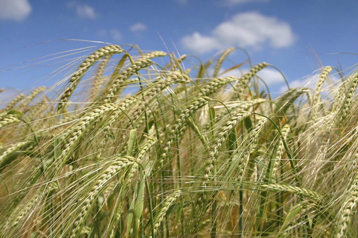 FarmSurveyUK's tweet photo. Are you interested in farm benchmarking?  RBR's Research Officers are recruiting new farms to the FBS, you may receive a letter from us.  Find out more at https://t.co/ZRuDK2oBdv https://t.co/qg0Xmyau7r