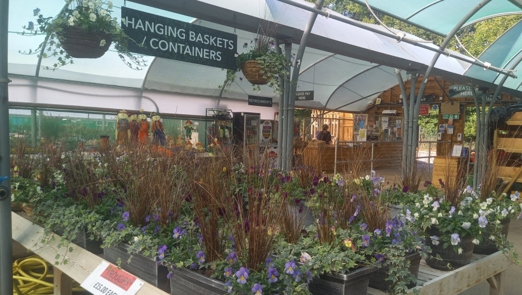 Bring those autumn colours into your garden with our ready made autumn planters, troughs and wicker hanging baskets 🌼

- Planters £17.50 -
- Troughs £15 -
- Wicker hanging basket £15 -

#bristoldeals #bristolbargains #freecyclebristol 
#bristolgardens #gardening #bristolbusiness