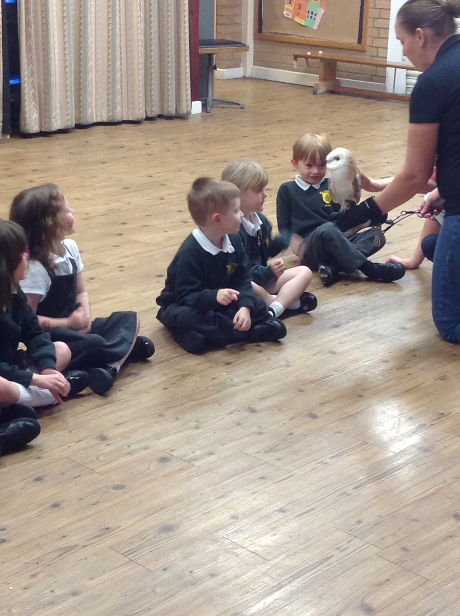 Brackenwood_Inf's tweet photo. The owl was a particular hit in F2R! #AnimalsTakeOver https://t.co/f1RaNVRQTG