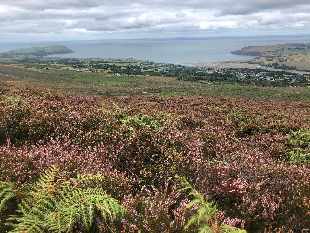 A majestic view from our cottage in Newport #pembrokeshire. Available 30/10 £550 for the week, sleeps 4. #wales #accomodation