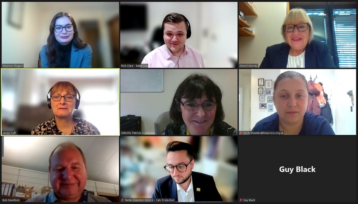 APGOCATs's tweet photo. Very positive virtual meeting today with @sheryllmurray, @PGibsonSNP and Lord Guy Black, discussing cat microchipping and incoming legislation likely to impact animals, after observing a minute's silence for our dear friend, the late Sir David Amess. https://t.co/aHLYQcU2bJ