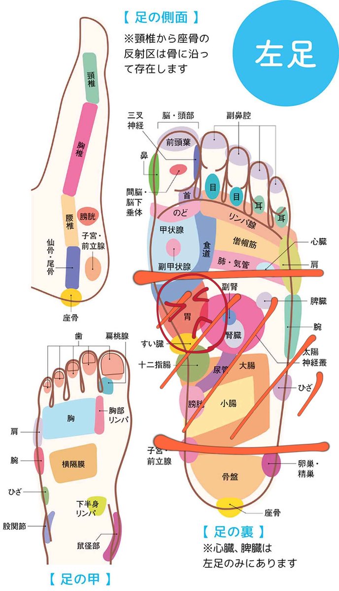 足ツボ 足ツボ