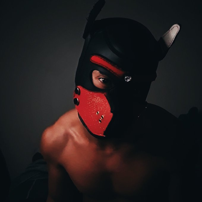 Gotta love good lighting and exposure ??? https://t.co/fiePZYOigM
