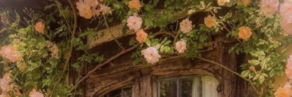 enhypenlayouts's tweet photo. #TAMED_DASHED
#DIMENSION_DILEMMA  

#JUNGWON : headers https://t.co/UsNDgzDZnu