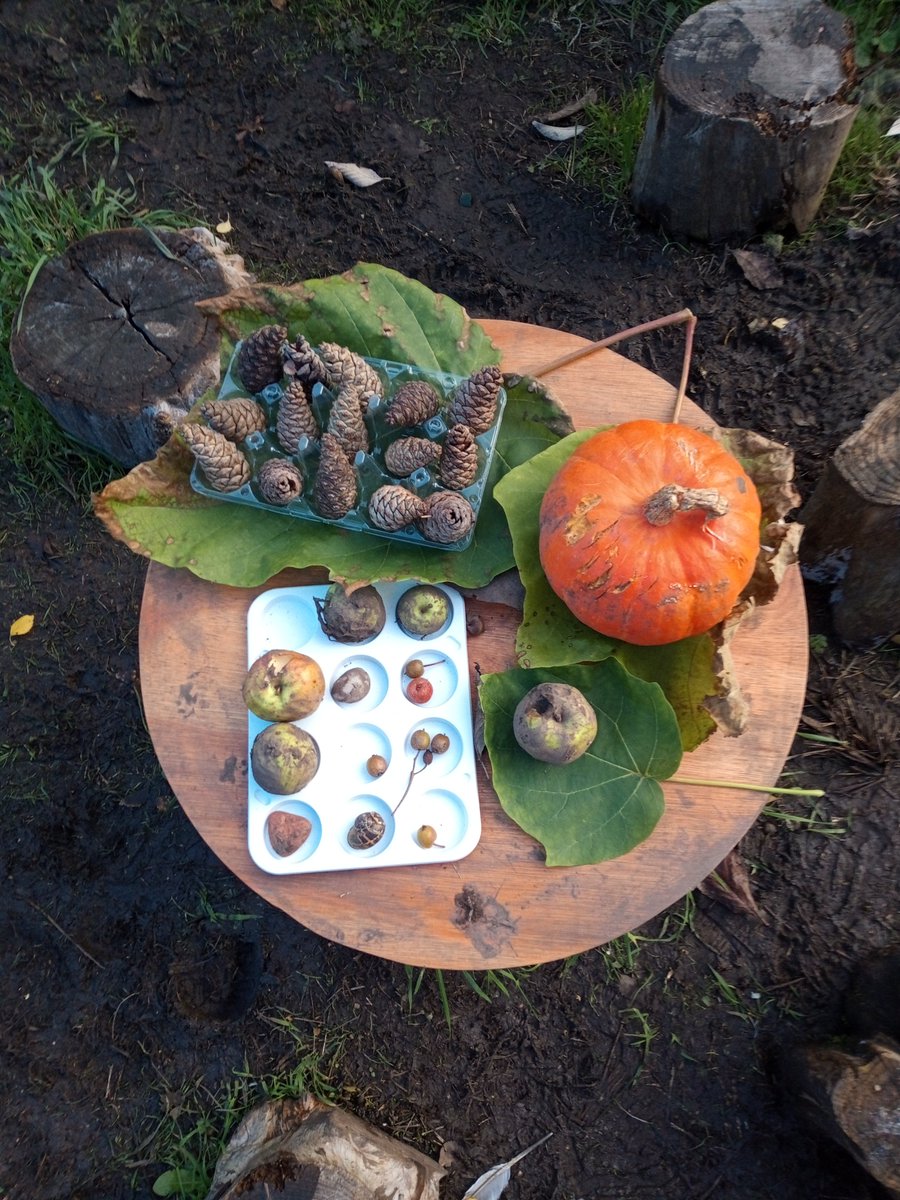 At what age should we aim to start inspiring the next generation with the importance of plants? Join us for an insightful talk from Suzanne Hermiston who explores engaging nursery children with nature: tinyurl.com/2aucyzu4 @OBGHA #obg400 #EducationisKey #OurFutureIsBotanic