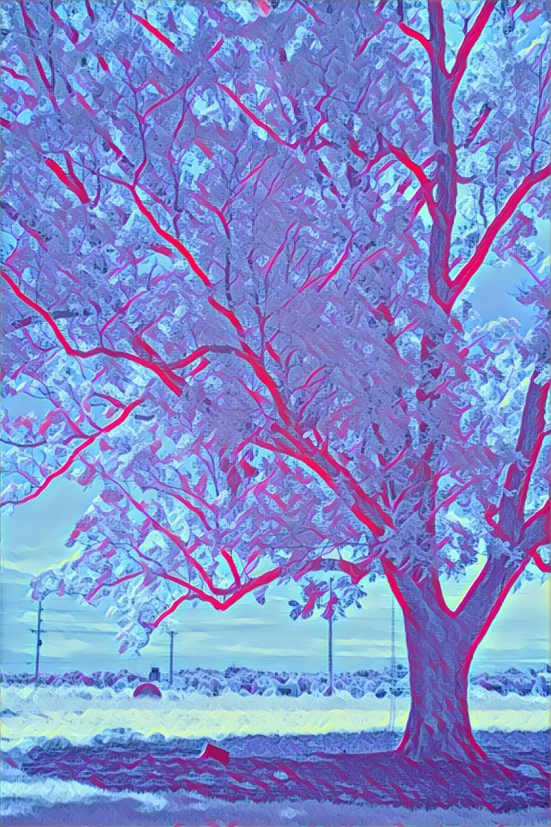 vintiga's tweet photo. Pecan Legacy Park

#PecanLegacyPark #PecanLegacy #PecanTree #Park  #StLouisCounty #Chesterfield #WalkAbout #Outside #Art #Photography #Colorful https://t.co/FMWPybFsXJ