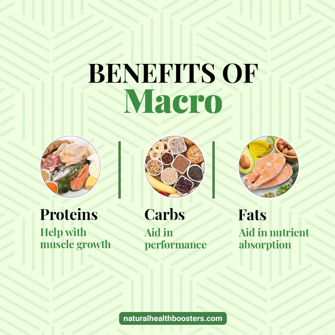 BoostersNatural's tweet photo. Are you working out to lead a healthy lifestyle?🤔 Well, here is some important info about the benefits of macros in your diet. 
Live healthy with @BoostersNatural  
#healthydiet #healthyfood #health https://t.co/2SOetyCPhp