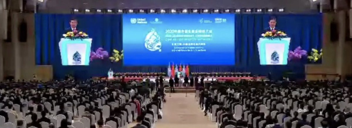 4Post2020BD's tweet photo. Our #COP15 encompassing news is out!🚨
- Summary of key outcomes from each day📝
- Main statements🗣️
- #KunmingDeclaration📜
- ... and more!
Read our news on @UNBiodiversity #COP15 Part 1 held last week in #Kunming 🇨🇳
🗞️https://t.co/YHbk4UbLQn
#ForNature https://t.co/3YoAiICZXr