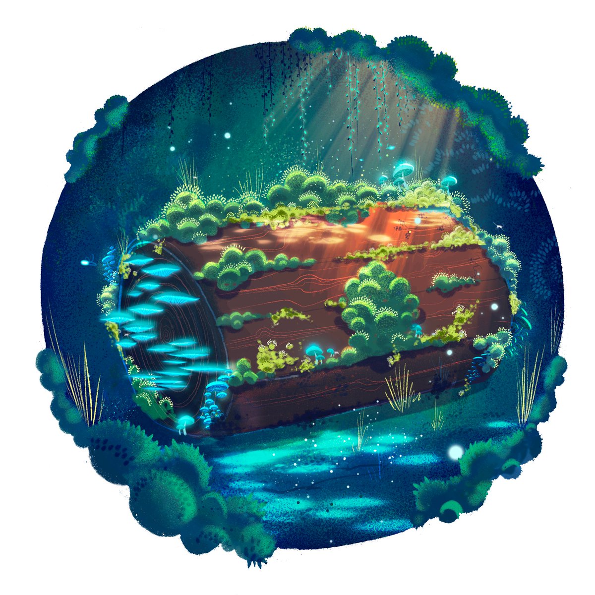 ctchests's tweet photo. Already planning some treasure hunts 👀 https://t.co/OkzclKToaV