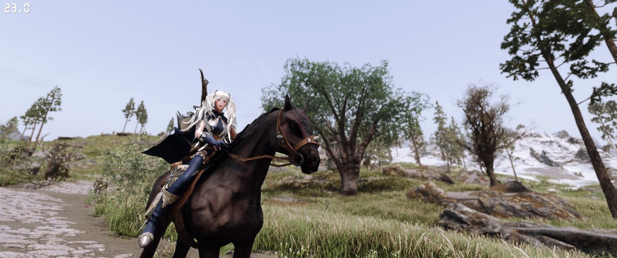 fu_aae7ox's tweet photo. SkyrimSE
馬 https://t.co/31CpoqfoZC