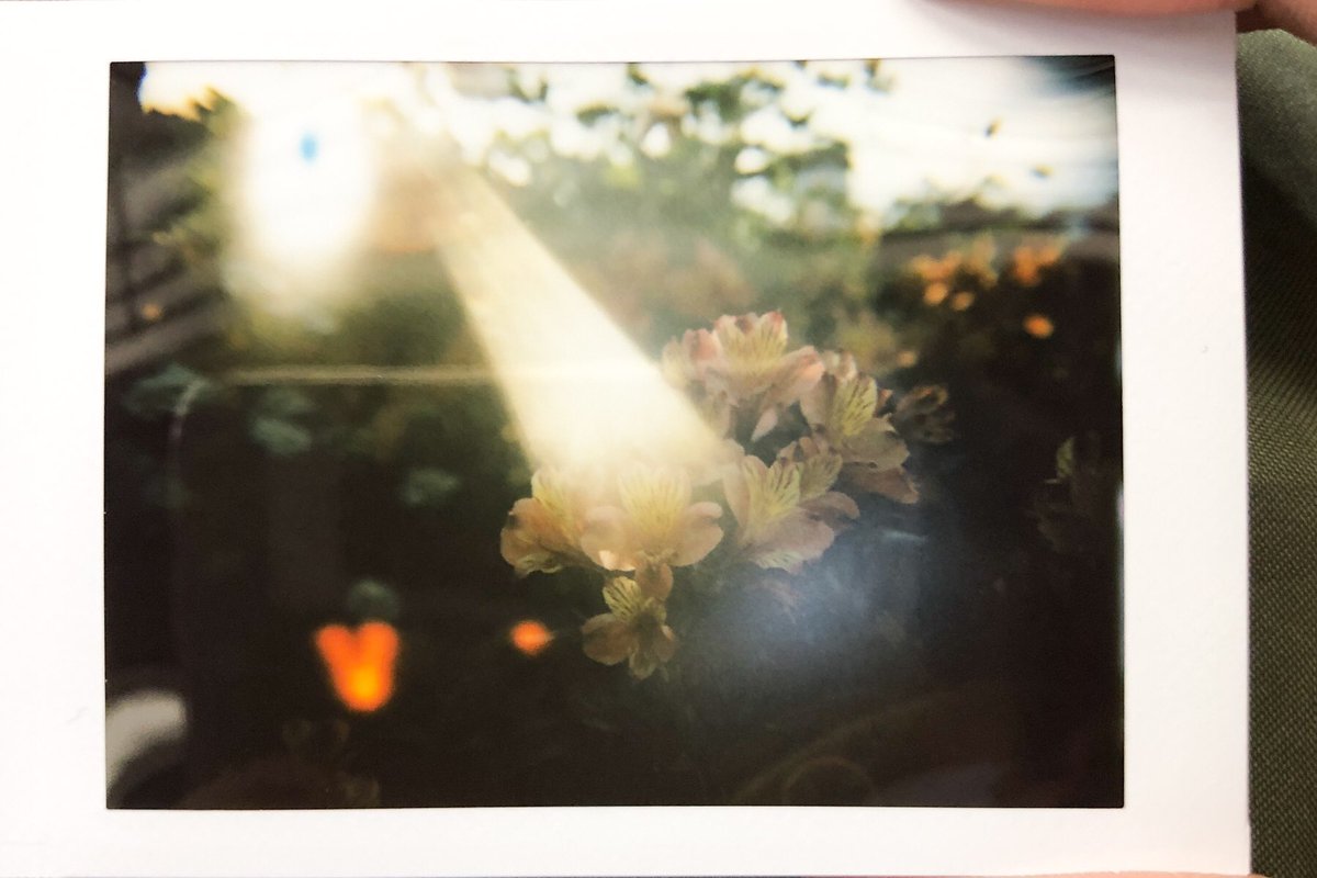 utut_photo's tweet photo. レンズ交換できるチェキ「Nons SL42 mk2」について、ブログに書きました。購入検討している方は見てみて下さい
https://t.co/n1Rs5tgptn
#nonssl42 #nonscamera #nonssl #チェキ #写真好きな人と繋がりたい #ファインダー越しの私の世界 #ファインダーは私のキャンパス #写真撮ってる人と繋がりたい https://t.co/Q1URmQstzw