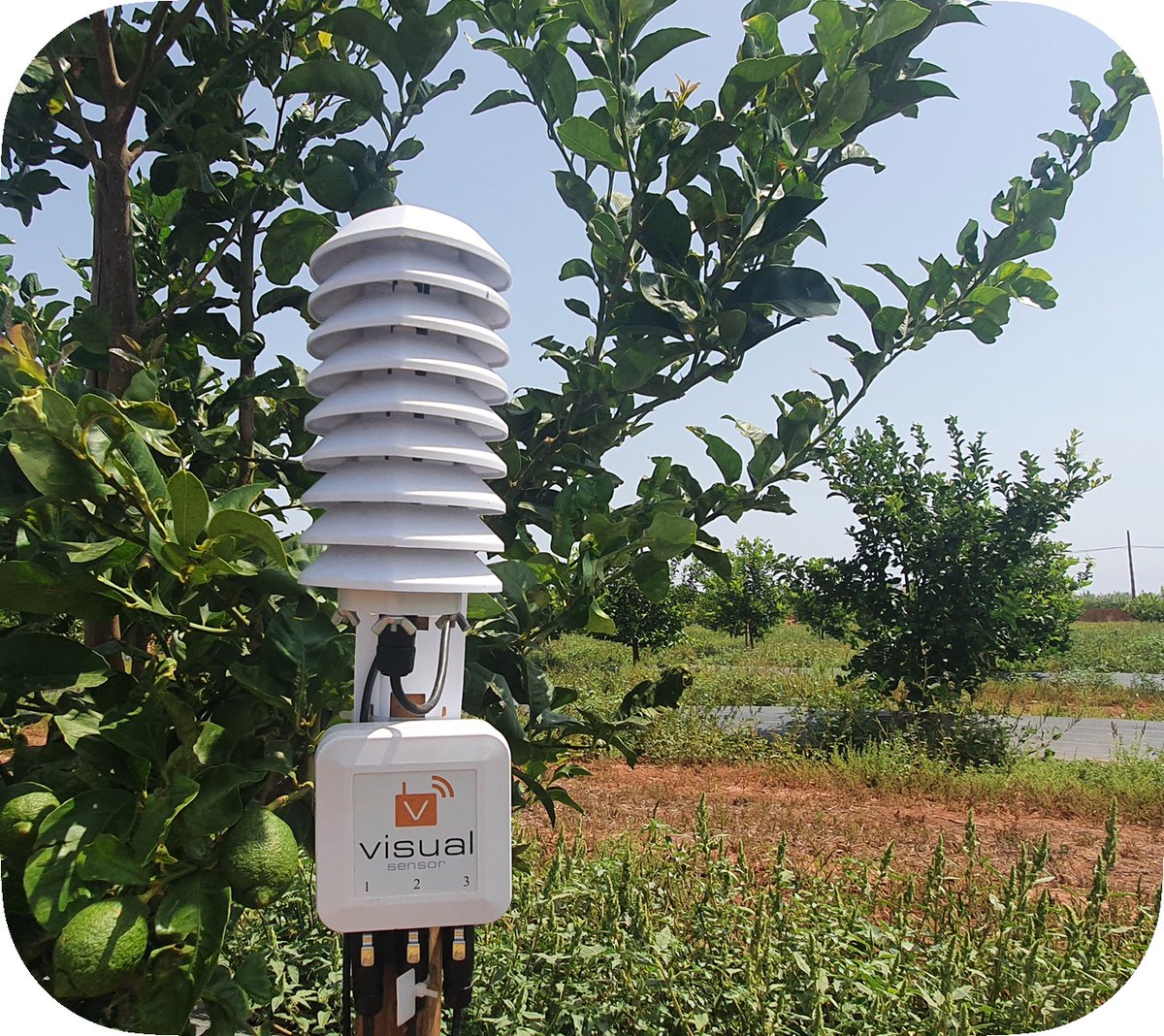 JoseAFerBer's tweet image. lnkd.in/dXfAQEtw
Buscamos la sostenibilidad económica, ambiental y social para producir alimentos saludables con el menor impacto medioambiental posible #VisualSensor
#VisualNACert #Agtech #sostenibilidadambiental
