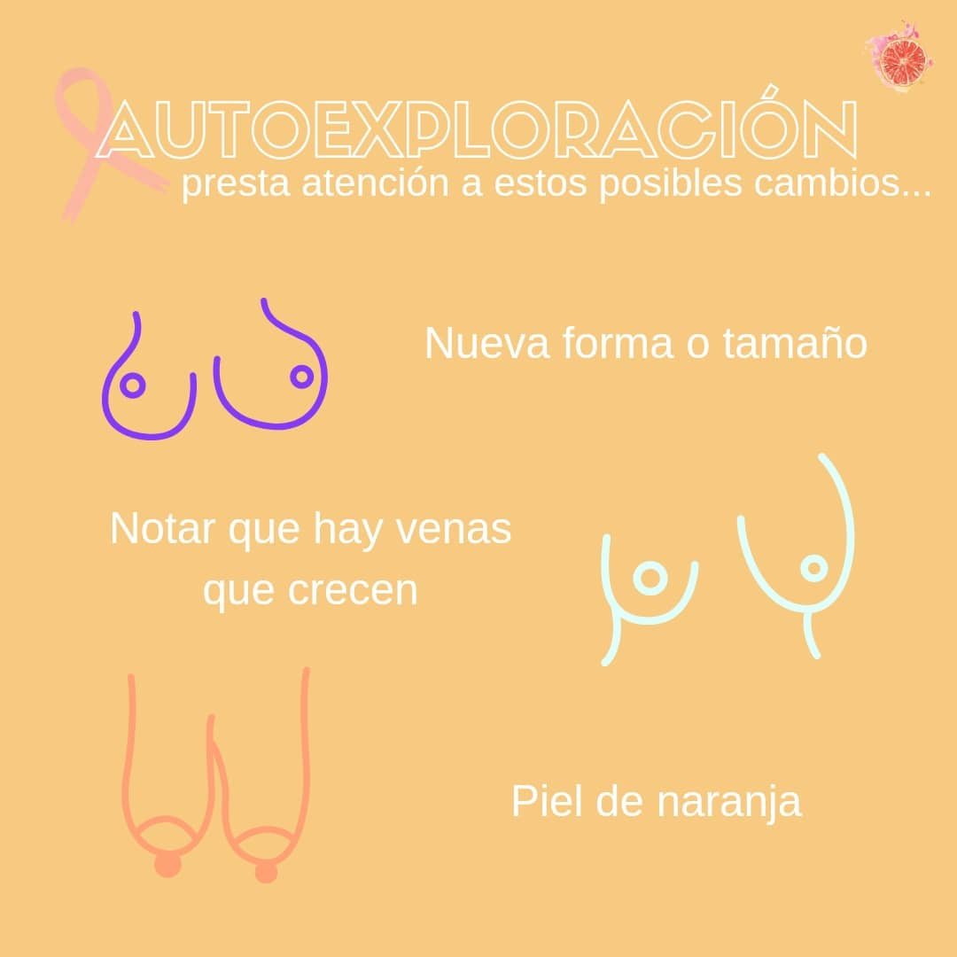 sincortes_info's tweet photo. ¡Explórate amiga! Mira y toca, busca cambios de forma, de textura, de color, aparición de bultos, de venas que aumentan su tamaño... https://t.co/JP3QK7Scfd