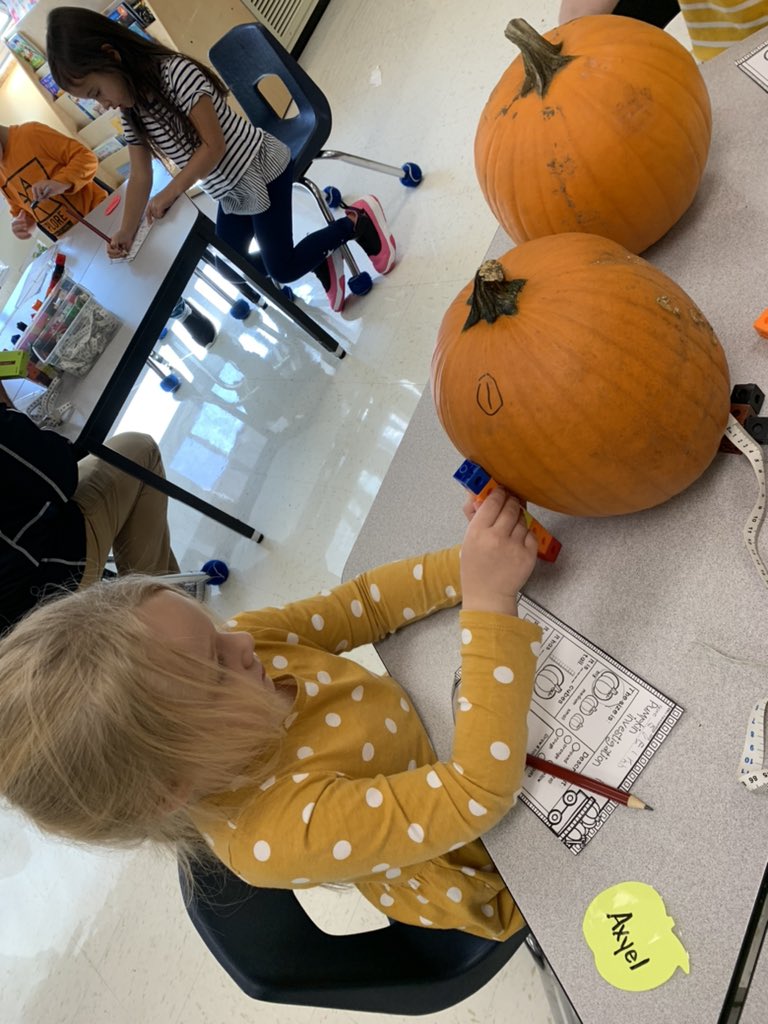 Investigating Pumpkins 🎃