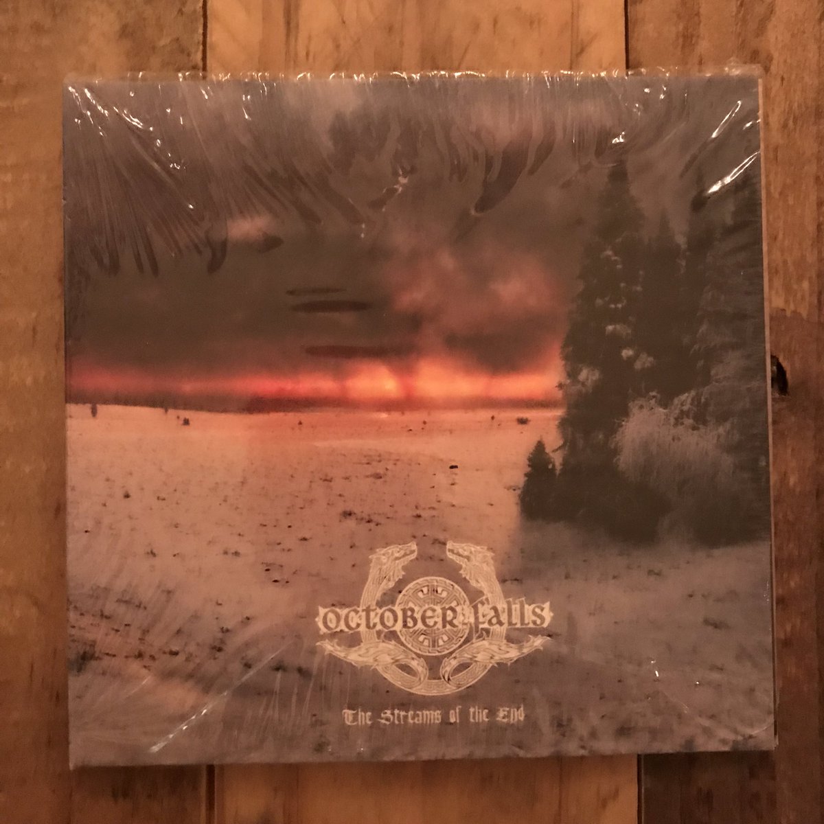 doomedparade's tweet photo. @darkirondwarf @KManriffs @cultmetalflix @LFCMFighter @danteruivo @BangersP @DMTMPromo @Adracom @Savagesheepy @cardinal_2020 @OldManMetalOG It’s pretty amazing to see where these guys all ended up. Kinda proud of them I must say. #Nasheim and #OctoberFalls too. https://t.co/KVJxvmZBcS