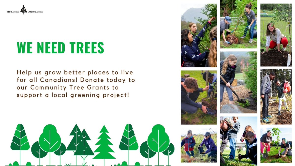 TreeCanada's tweet photo. Tree Canadaβs #CommunityTreeGrants create large and long-lasting benefits for communities and all who live in them. Help us grow better places to live by donating to support a local greening project! #WeNeedTrees
β‘οΈ https://t.co/dSTKYWNqp4 https://t.co/wrZGi74jsw