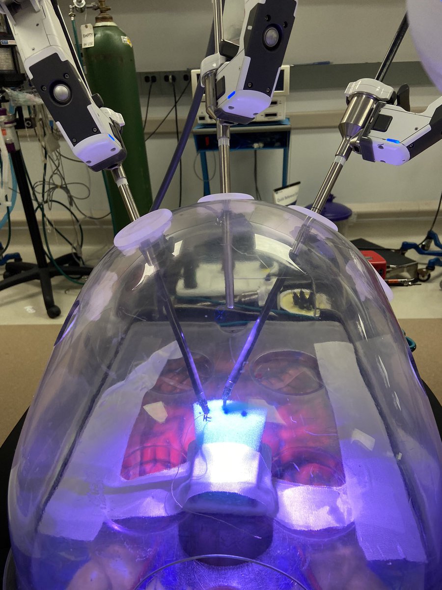 Veronica Lerner, MD (@veronicalerner) on Twitter photo #roboticsurgery #sim #surged robotic surgery training pathway in action! Thankful for awesome faculty and motivated residents <a href="/mattcow1/">Matthew Cowan</a> <a href="/Plewniak_MD/">Kari Plewniak, MD, FACOG</a> <a href="/MontefioreOBGYN/">Montefiore OB/GYN and Women’s Health</a> <a href="/medmartino/">Martin Martino</a> #roboticsurgery #sim #surged robotic surgery training pathway in action! Thankful for awesome faculty and motivated residents <a href="/mattcow1/">Matthew Cowan</a> <a href="/Plewniak_MD/">Kari Plewniak, MD, FACOG</a> <a href="/MontefioreOBGYN/">Montefiore OB/GYN and Women’s Health</a> <a href="/medmartino/">Martin Martino</a>