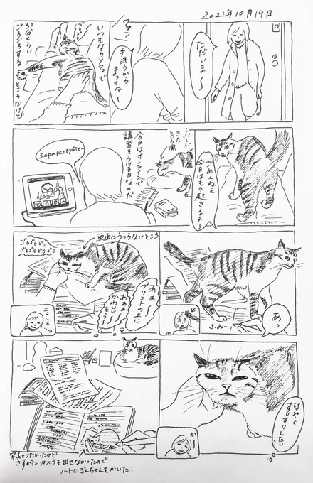 2021/10/19のぎんちゃん #今日のぎんちゃん 