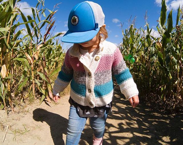 The 3-acre corn maze at Farmpark will be open 9 am to 4:30 pm through Sunday, October 24!

Come explore all the twists and turns. Answer the questions in the maze correctly and you'll keep moving in the right direction. If not...

https://t.co/3n9nuHg1uu
Photo by Kevin Wright. https://t.co/lYaQUCkprC