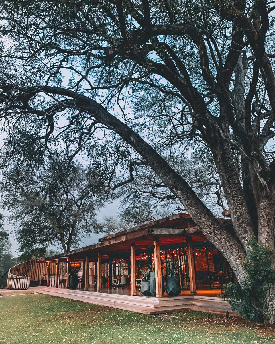andbeyondtravel's tweet photo. The trees (and tranquillity) of Tengile… - a photo by @ClaireTrickett - @andbeyondtravel Editor & Travel Blogger | #seewhatliesbeyond #andbeyondtravel #bateleurmagazine #theworldmadelocal #tengileriverlodge https://t.co/Wgdxvhjdic
