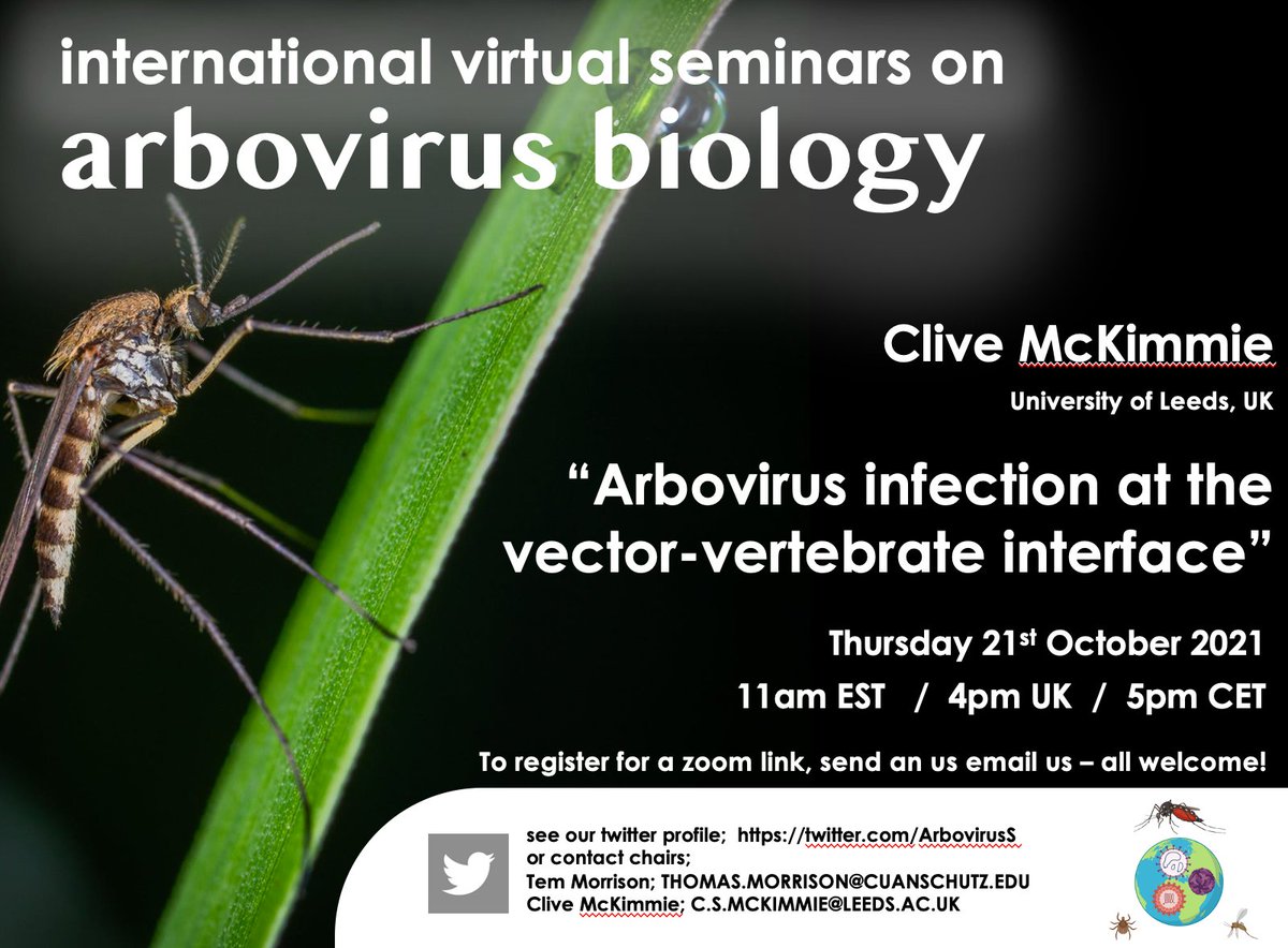 Please join us Thursday 21st of October for the next International Virtual Seminar on Arbovirus Biology. Clive McKimmie, University of Leeds, will present exciting new studies!