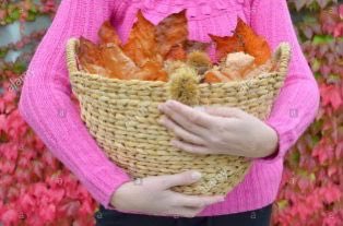 Prestamo10's tweet photo. El otoño nos trae una época nueva para renovar fuerzas y de preparar trucos de ahorro para que nuestra cesta de la compra se llene de forma sostenible para el medio ambiente y para nuestra capacidad económica. https://t.co/0fQ2G2Mdfz https://t.co/OayJi9NEWd