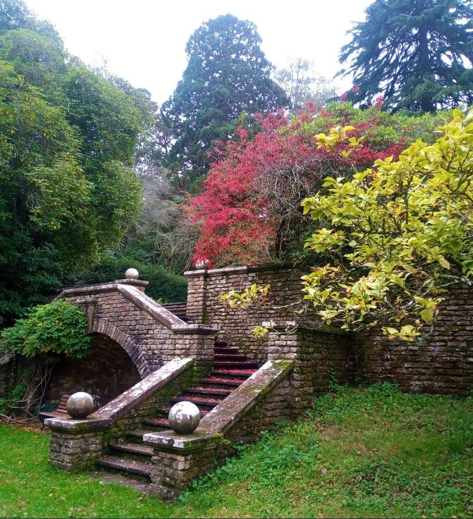 MinsteadLodge's tweet photo. We are starting to see some beautiful autumnal colours in the gardens 🍁

#NewForest #NewForestAutumn #NewForestAutumnColours #AutumnalColours #Autumn https://t.co/kg68eEZF4o https://t.co/SLSxjQOjAi
