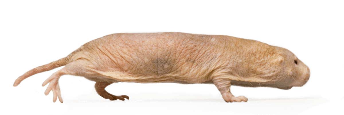 Children are increasingly exposed to digital media &amp; online technology. Guardians play an important role in the lives of children to help keep them safe from #sextortion &amp; other online risks. Start the conversation by visiting protectchildren.ca &amp; cybertip.ca