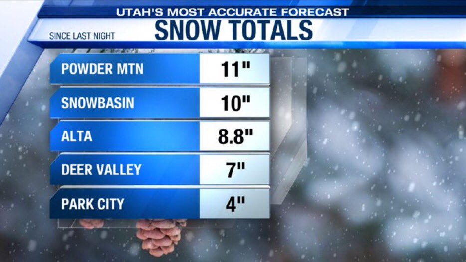 Alana Brophy tweet media