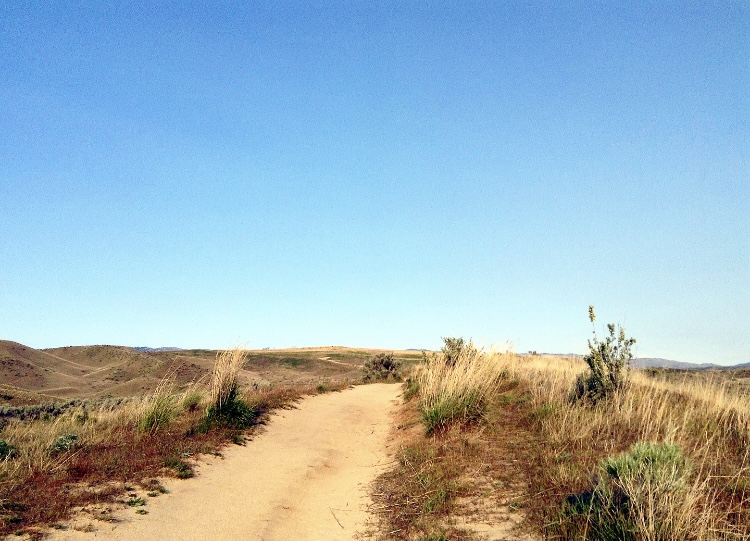 BroncoSportXCTF's tweet photo. ๐๐ฎ๐ป๐ฎ ๐๐ฎ ๐ฐ๐ธ ๐ช๐ฐ๐ช๐ฒ๐ท... #TrailTuesday
๐ฅ๐ฎ๐ฝ๐ฎ๐ป๐ช๐ท๐ผ ๐๐พ๐ต๐ฌ๐ฑ is a steady climb, but not too strenuous. The moderately trafficked loop is popular among hikers, runners and bikers and is located in the foothills northwest of Boise โ๏ธ
#BleedBlue #RunBoise https://t.co/xzcDEwZCut