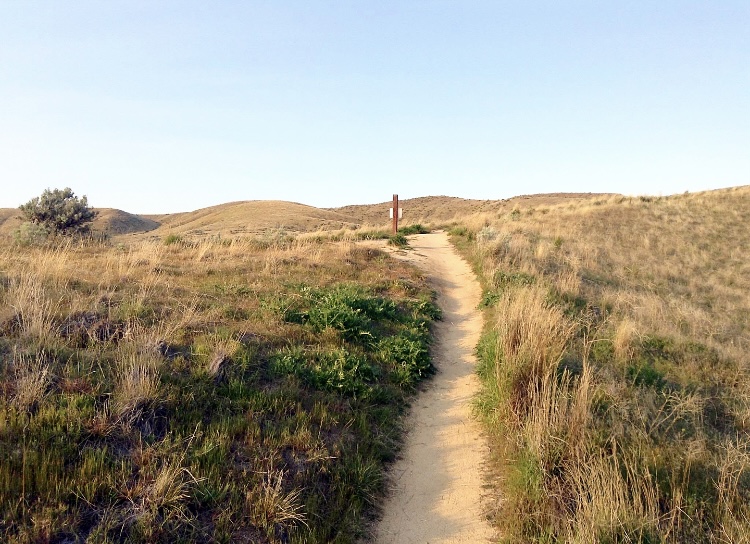 BroncoSportXCTF's tweet photo. ๐๐ฎ๐ป๐ฎ ๐๐ฎ ๐ฐ๐ธ ๐ช๐ฐ๐ช๐ฒ๐ท... #TrailTuesday
๐ฅ๐ฎ๐ฝ๐ฎ๐ป๐ช๐ท๐ผ ๐๐พ๐ต๐ฌ๐ฑ is a steady climb, but not too strenuous. The moderately trafficked loop is popular among hikers, runners and bikers and is located in the foothills northwest of Boise โ๏ธ
#BleedBlue #RunBoise https://t.co/xzcDEwZCut