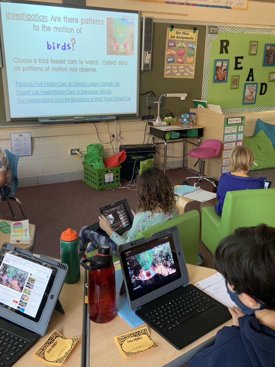 Allison Reed tweet media