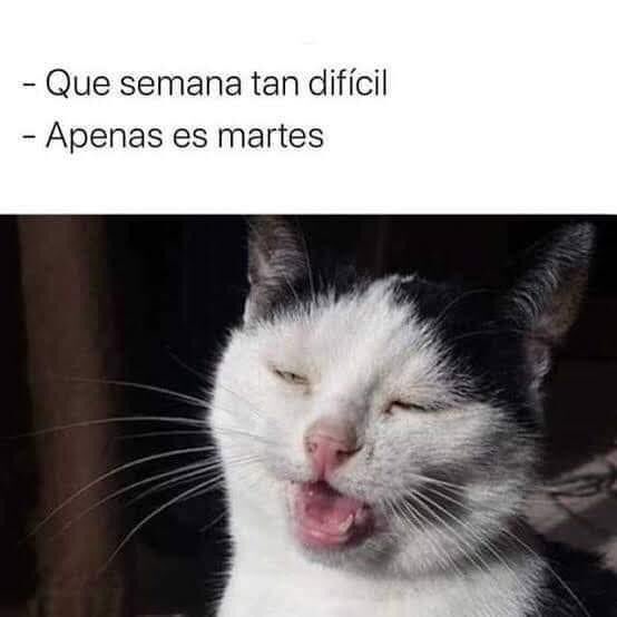 ALd3Baran85's tweet photo. #FaleFerga https://t.co/OOpLq2SlYb