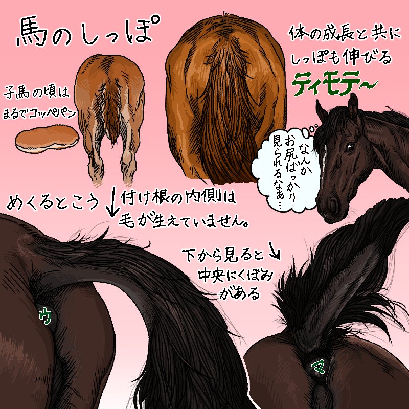 馬イラスト Twitter Search Twitter 馬イラスト Twitter Search Twitter