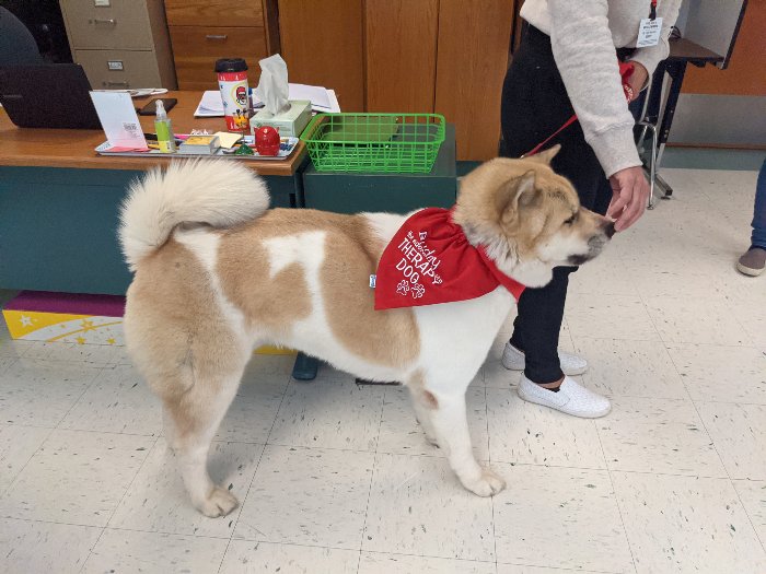 Buddy the Therapy Dog Comes to WIS!  - Thank you to Michele Byrnes and Buddy for visiting WIS.  Buddy is a beautiful certified therapy dog who brought us joy today during his visit!   edne.tw/n750426