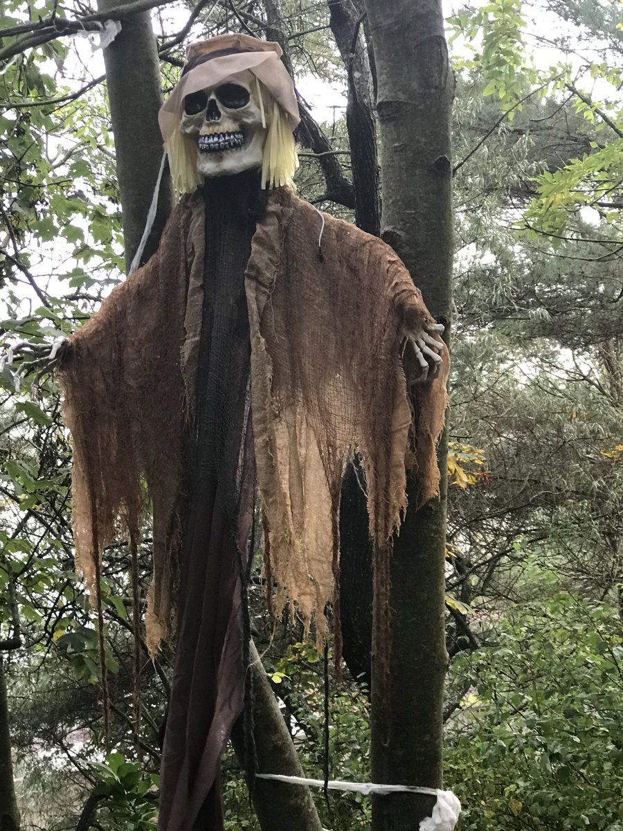 We have the most stylish ghosts in Waterford - a haunting experience is guaranteed if you visit us these days.