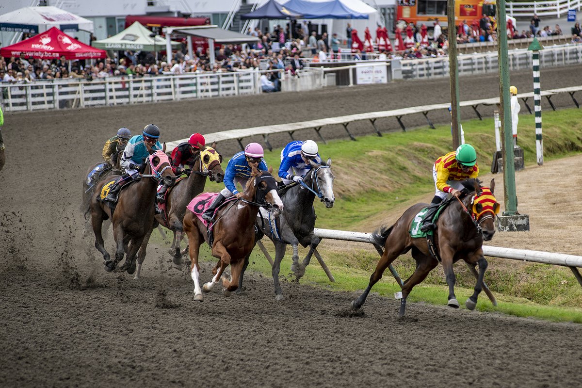 British Columbia-resident owners and breeders can benefit from an extraordinary array of incentives over the winter months - especially now that broodmares and weanlings have been added to the various inducements. Fill your boots! 
railbird.derbybarandgrill.com/2021/10/broodm…
railbird.derbybarandgrill.com/2021/10/weanli…