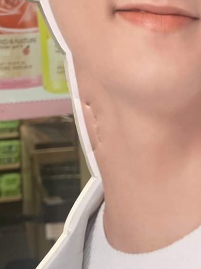 okay nct 127 who bit mark lee’s neck