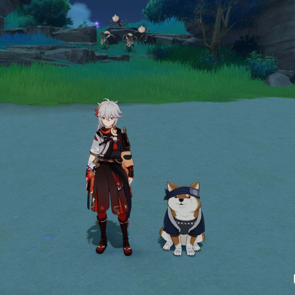 Enviosity's tweet photo. WHEN WILL MIHOYO ALLOW US TO PET ANIMALS IN GENSHIN IMPACT?! https://t.co/t0EL2L7oAk