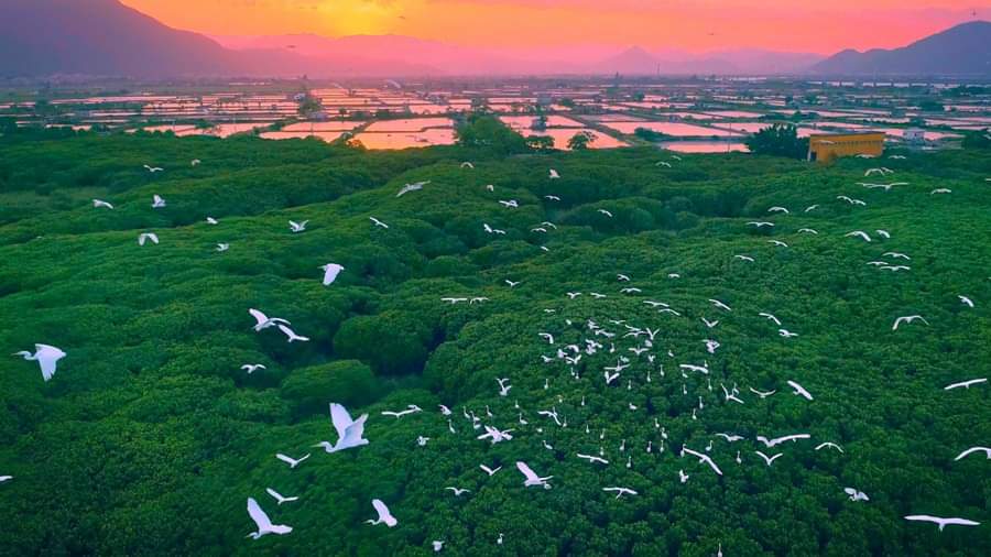 GCFMission's tweet photo. If you take care of the #forests you are going to have this charming nature &amp; environment around you likewise you will have taken your part in the fight against #globalwarming #climatechange #pollution &amp; #climatecriss so try to plant #trees &amp; motivate others to follow your way, https://t.co/AugsuogwHY