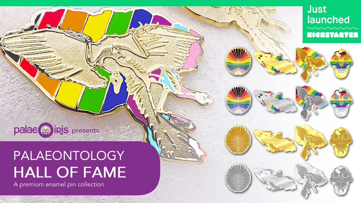 Our Palaeontology Hall of Fame Kickstarter launched today!

This is an enamel pin collection celebrating landmark fossil specimens and LGBTQ+ scientists and natural history lovers. Celebrate the history of life with Pride!

Support our project here >> tinyurl.com/PalaeoKS