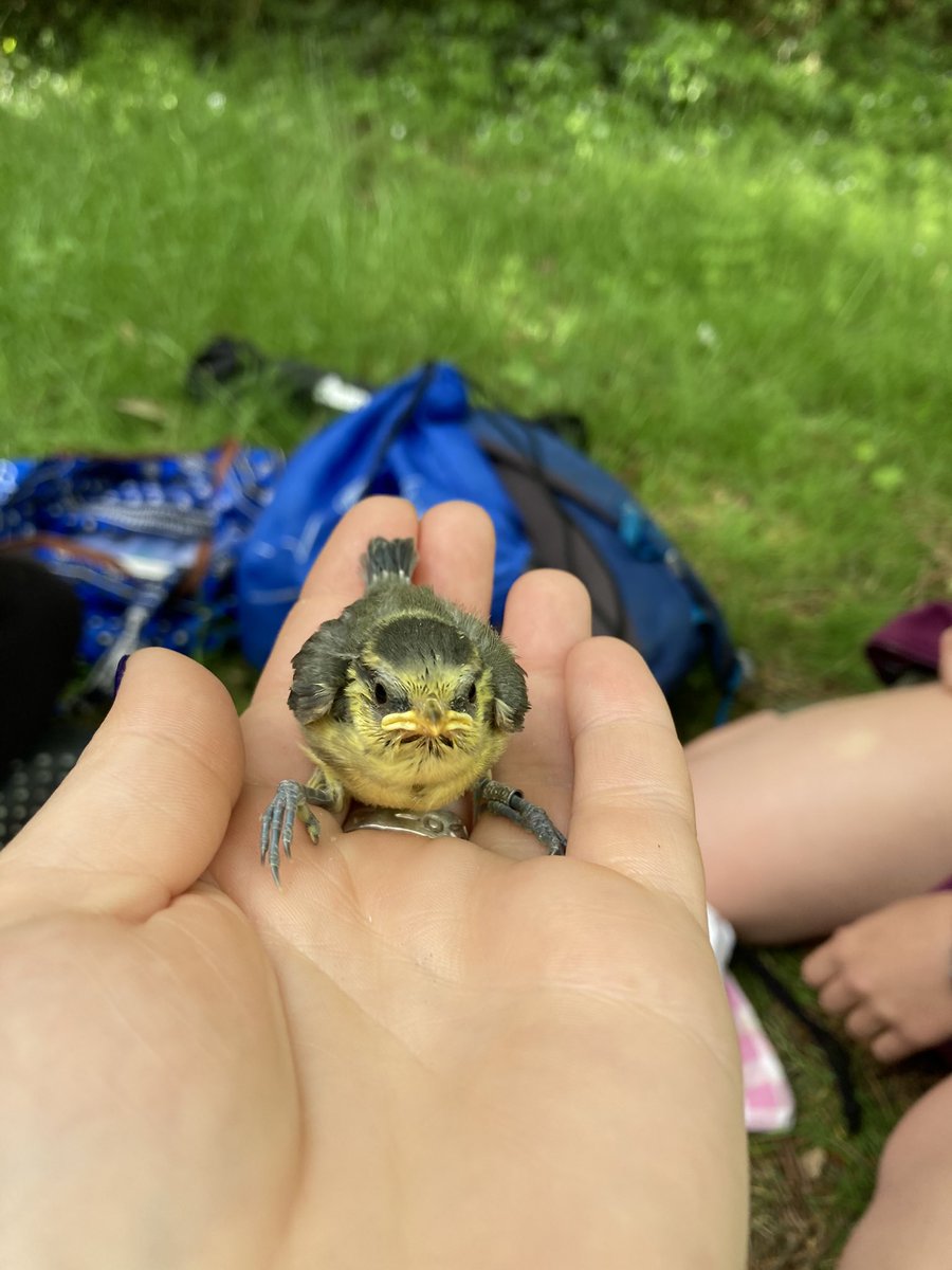 Sophie Edwards tweet media