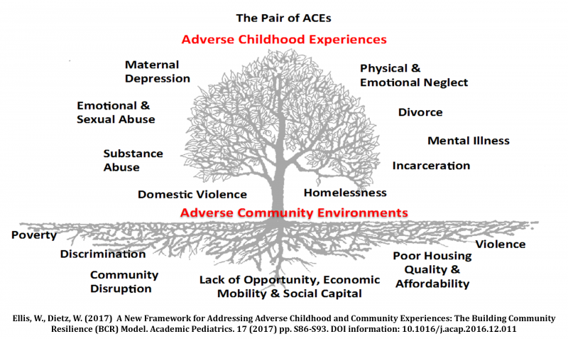 angiyo58's tweet photo. @teachersbreak @Becky_Nalepo @aeon2088 @ClideGideon @FrancisMakokha3 A1 CT: There are now new frameworks like the #PairofACEs at @ResilNation and 3 Realms of ACEs @PACEsConnection #wearenotfixingkids https://t.co/Fxyg55vszT