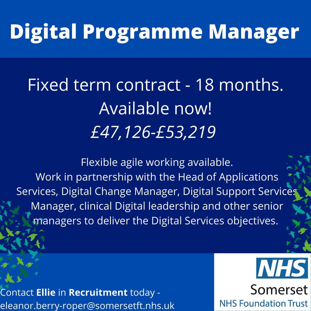 SomersetNHSjobs's tweet photo. Do you have management experience, with an extensive programme and digital delivery track record? Our Digital Services team would like to hear from you! Fixed term contract opportunity available now - 18 months! #NHS #Digital https://t.co/NSb7z3s6tu