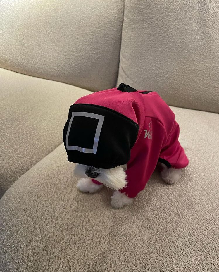 “The 7th game will begin shortly.”
HWDKHESHDKSS YEJINHAND AND KITTY FCKING CUTE