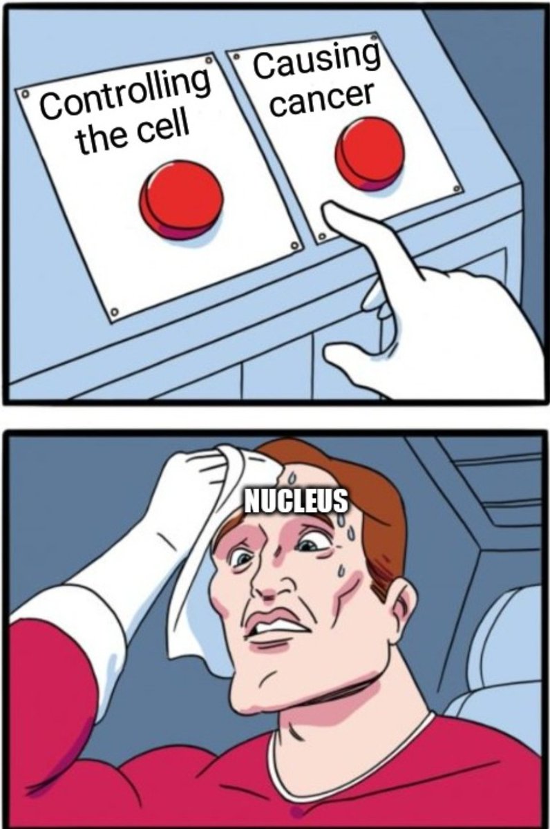 Real_RoughER's tweet photo. @NucNucleus https://t.co/eWuJTJTWGq