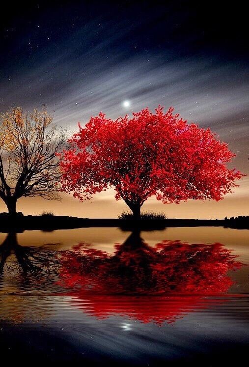 qaiser0345's tweet photo. https://t.co/161fAVMzP8
